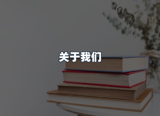 专业团队